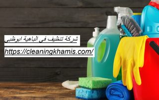 شركة تنظيف في الباهية ابوظبي