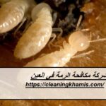 شركة مكافحة الرمة في العين