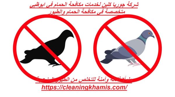 شركة جوريا كلين لخدمات مكافحة الحمام في ابوظبي