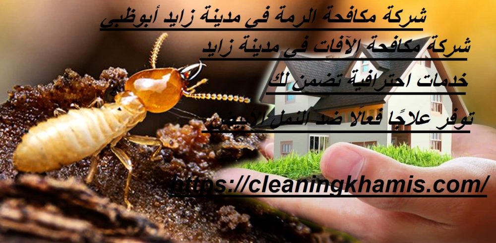 شركة مكافحة الرمة في مدينة زايد أبوظبي